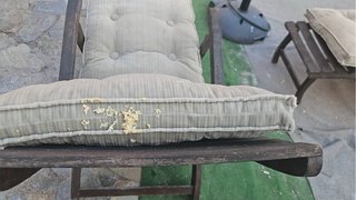 Tumbona de madera de teka con cojines