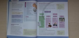 History 4 Secondary ESO Santillana Richmond barato