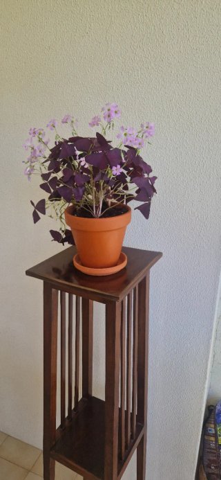 ¡Transformo tus muebles! Restauración y pintura