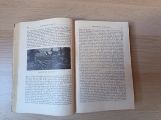 Don Quijote de la Mancha 1904 Miguel de Cervantes