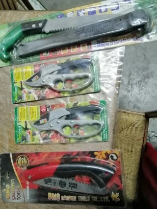 Set Attrezzi Giardinaggio DNO: Seghetto e Forbici