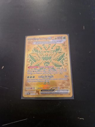 Cartas pokemon todas selladas desde su apertura