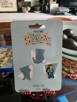 Fallout 76 Amazon Special Edition PS4