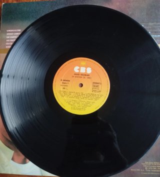 Julio Iglesias - 24 Éxitos de Oro Doble LP