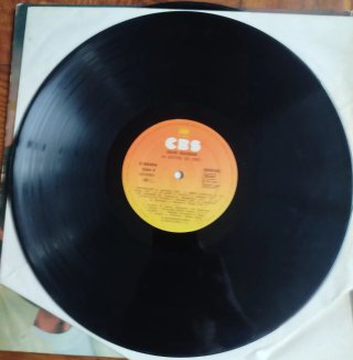 Julio Iglesias - 24 Éxitos de Oro Doble LP