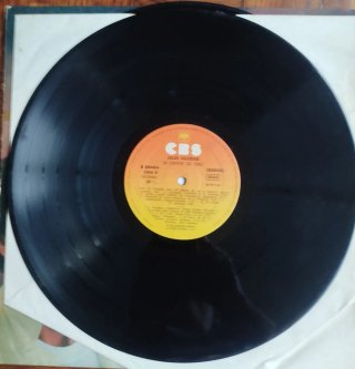 Julio Iglesias - 24 Éxitos de Oro Doble LP