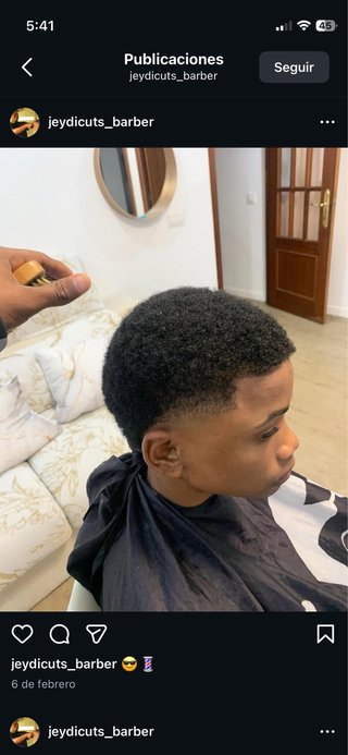 Peluquero a domicilio