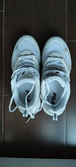 Zapatillas Fila Sky Runner Blancas y Plateadas