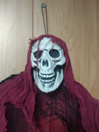 Dos esqueletos decoración Halloween