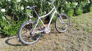Bicicleta XL