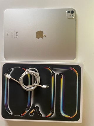 iPad Pro M4 256GB Plata