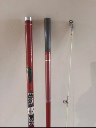Caña Pesca Geologic Surf Casting 420/3