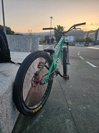 Bicicleta Dirt Jump