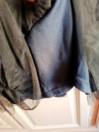 Buscado 2010's vestido tul Zara