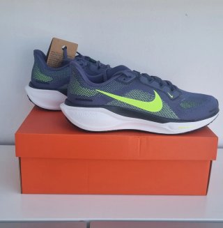 Nike Pegasus 41 Azul/Verde
