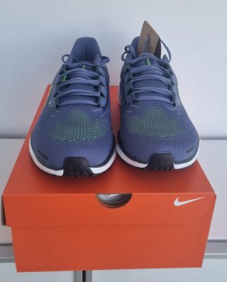 Nike Pegasus 41 Azul/Verde