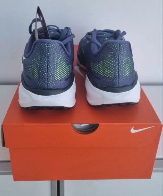 Nike Pegasus 41 Azul/Verde