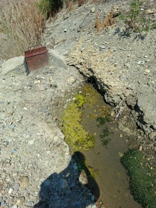 Terreno rustico