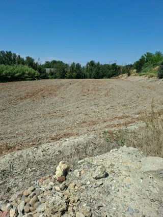 Terreno rustico