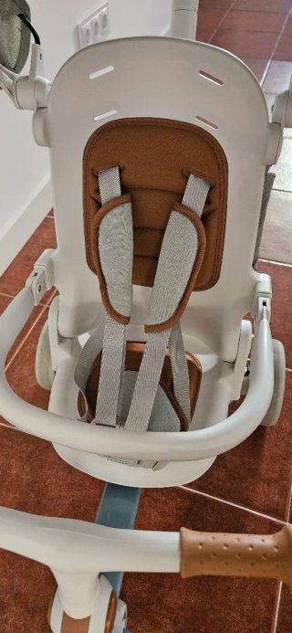 Triciclo Evolutivo Olmitos