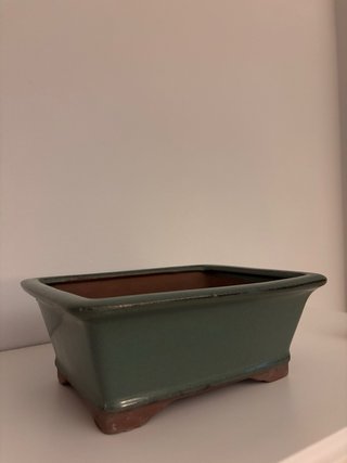 Macetero Bonsái Cerámica Verde Rectangular