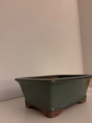 Macetero Bonsái Cerámica Verde Rectangular