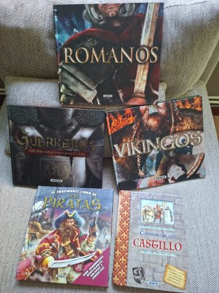 Lote 5 libros infantiles de historia Susaeta