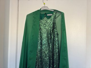 Vestido verde lentejuelas Javier Simorra + foulard