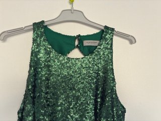 Vestido verde lentejuelas Javier Simorra + foulard