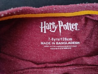 Camiseta niño Gryffindor Harry Potter