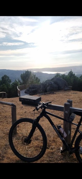 Cannondale Trail SL 3 29 Talla M