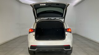 Lexus NX 2.5 300h Executive Navigation 4WD
