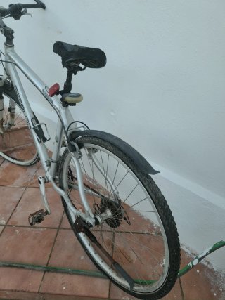 Bicicleta Simplon Booster Plata