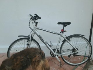 Bicicleta Simplon Booster Plata