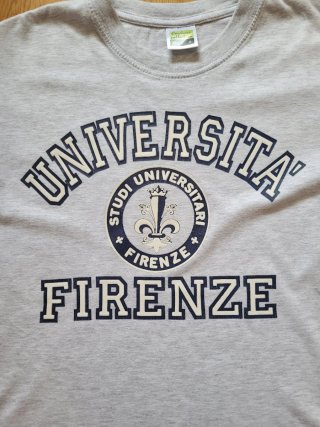 Camiseta Carducci Universidad Florencia Gris