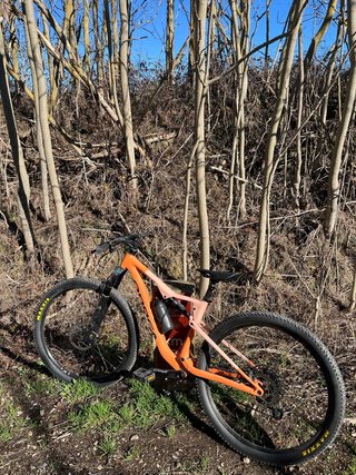 Orbea Oiz H20 2023