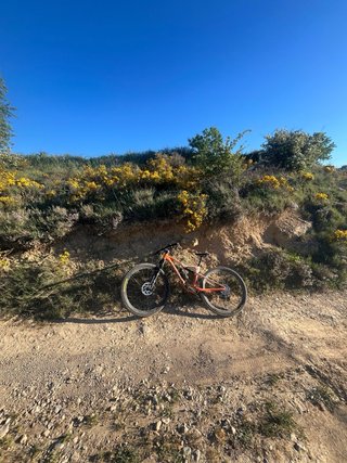 Orbea Oiz H20 2023