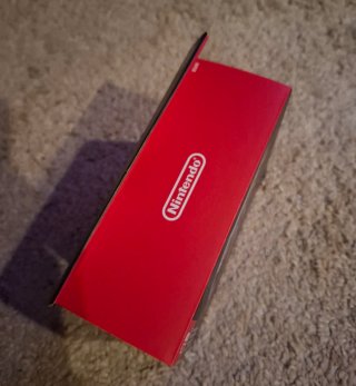 Mando Nintendo Switch Pro Monster Hunter Rise