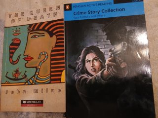 Pack libros de lectura en inglés