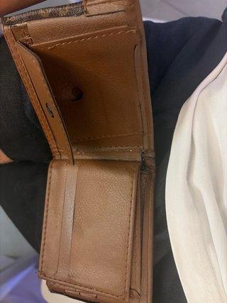 Cartera Louis Vuitton Marrón