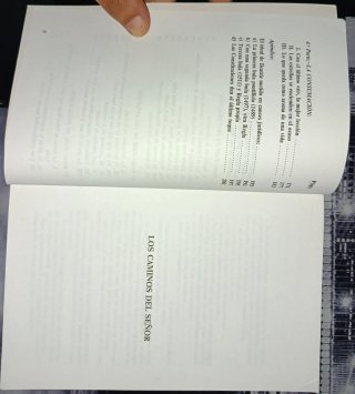 Libro Beatriz de Silva y Meneses Pesquera 1993
