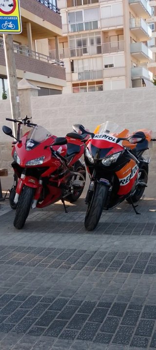 Cbr sc59 impoluta!!