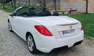 Peugeot 308 2010