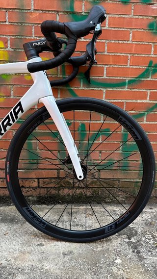 Berria Belador Custom Line BMK Edición