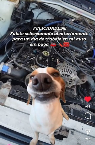 Arrancador de trastos parados por años