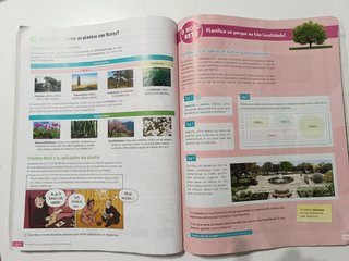 Bioloxía e Xeoloxía. 1 Secundaria. Revoa