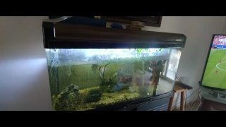 Acuario BOYU 250L pierde un poco de agua