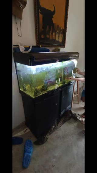 Acuario BOYU 250L pierde un poco de agua