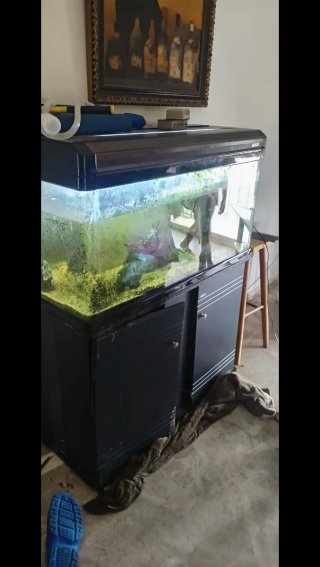 Acuario BOYU 250L pierde un poco de agua