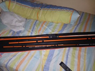 Carrete de pesca Iridium+ 2 cañas daiwa proteus hi